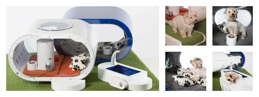 Samsung Dream Doghouse
