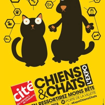 Révisez vos connaissances sur les chiens en famille à la Cité des Sciences et de l’Industrie