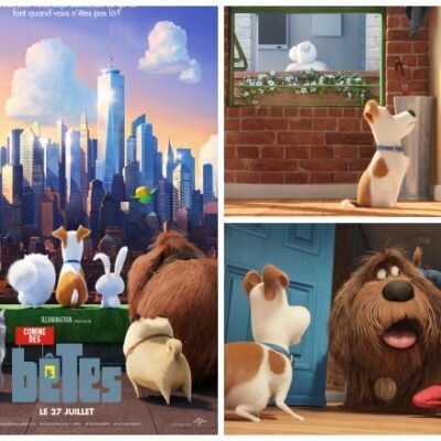 Comme des bêtes ou The Secret Life of Pets